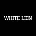Казино White Lion