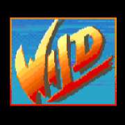 Символ Wild в Street Fighter II: The World Warrior
