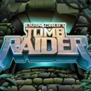 Символ Wild в Lara Croft: Tomb Raider