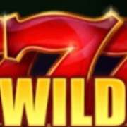 Символ Wild в Ruby Hit: Hold and Win