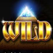 1 Reel Egypt: Wild