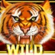 Символ Wild в Year of the Tiger