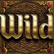 Символ Символ Wild в Wizards Want War!