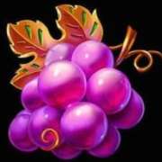 Символ Виноград в Fruit Blaze
