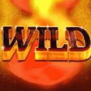 Символ Wild в Dragon's Fire