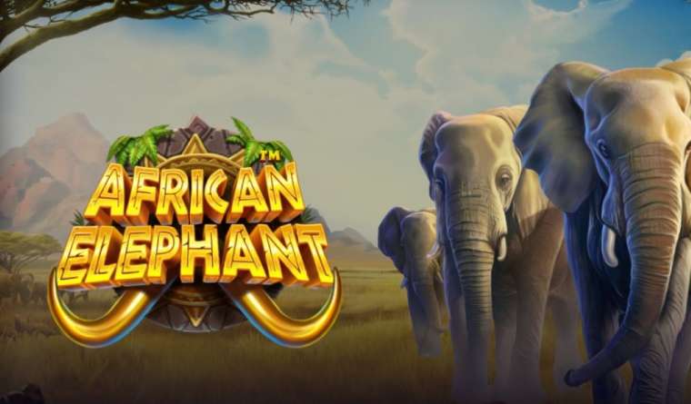 Видео покер African Elephant демо-игра