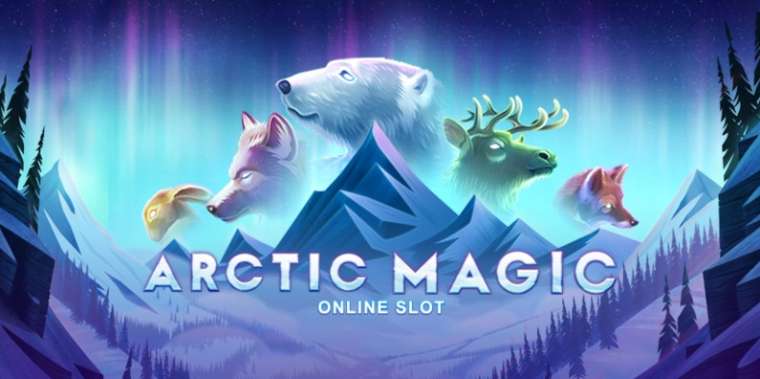 Видео покер Arctic Magic демо-игра