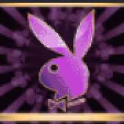 Символ Фиолетовый зайчик в Playboy Gold