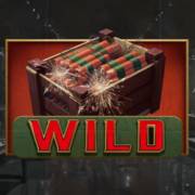 Beastly Burglars: Wild