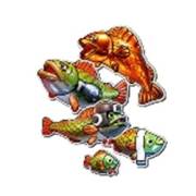 Big Bass Boxing Bonus Round: Рыбки (любые по линии)