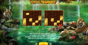 Big Cat Rescue Megaways: Таблица выплат