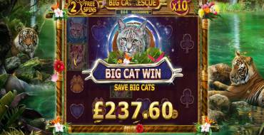 Big Cat Rescue Megaways: Выигрыши