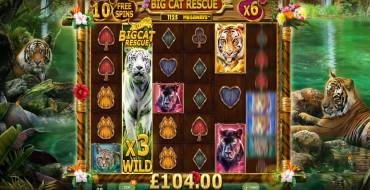 Big Cat Rescue Megaways: Уникальные функции