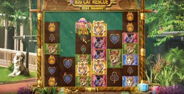 Big Cat Rescue Megaways: Уникальные функции