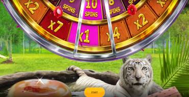Big Cat Rescue Megaways: Уникальные функции