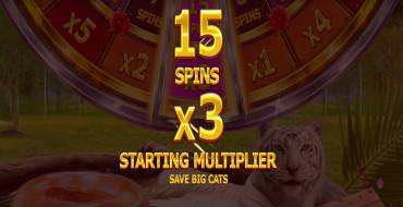 Big Cat Rescue Megaways: Уникальные функции