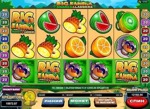 Big Kahuna: Snakes and Ladders
