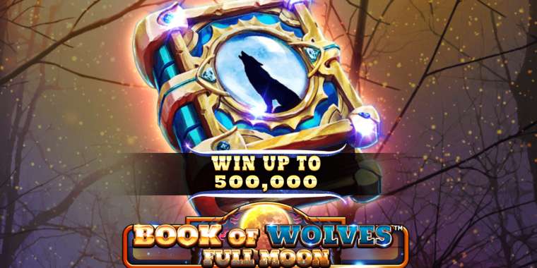 Видео покер Book Of Wolves Full Moon демо-игра