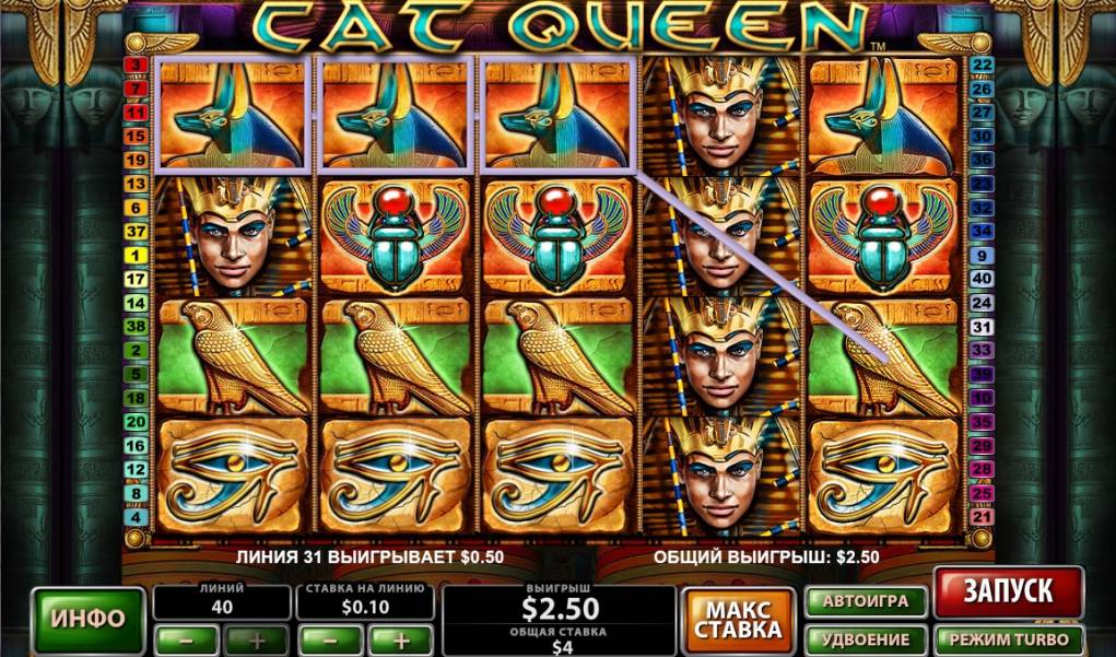 Cat Queen