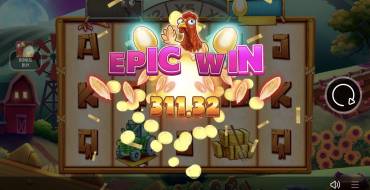 Chicken or the Egg?: Классные выигрыши