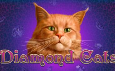 Diamond Cats