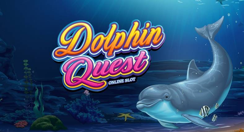 Dolphin Quest