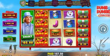 Dumb and Dumber Route to Riches: Выигрыши