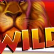 Символ Wild в Safari Dream