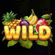 Fruit Heaven Hold And Win: Wild