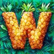 Hawaiitopia: Wild