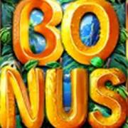 Hawaiitopia: Bonus