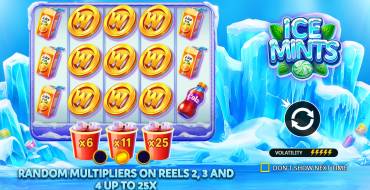 Ice Mints: Уникальные функции