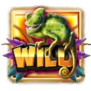 Jumbo Safari: Wild