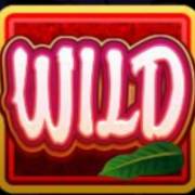 Kitty Cabana: Wild