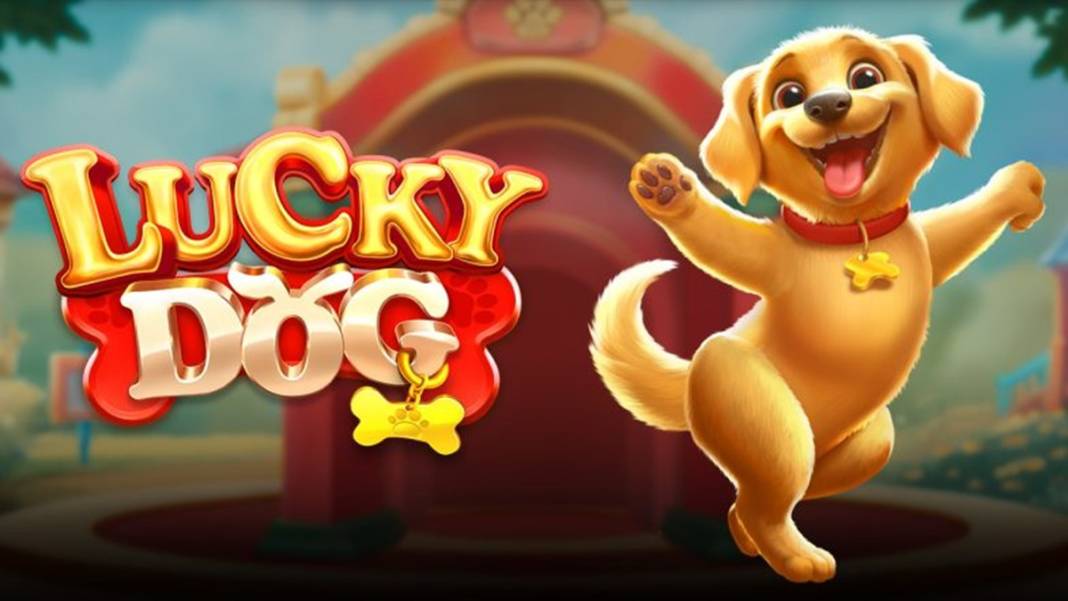 Lucky Dog