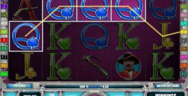 Musketeer Slot: Выплаты