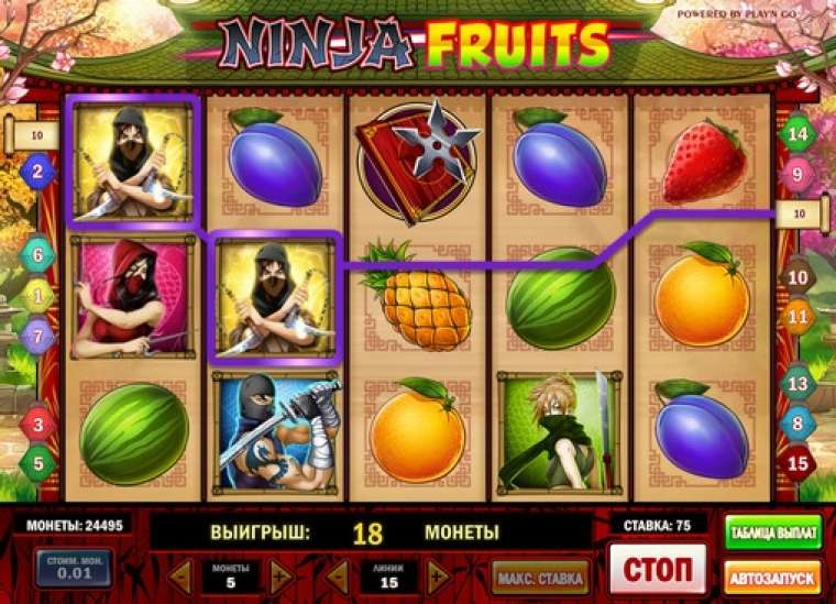 Видео покер Ninja Fruits демо-игра