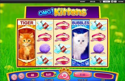 OMG! Kittens (WMS Gaming) обзор