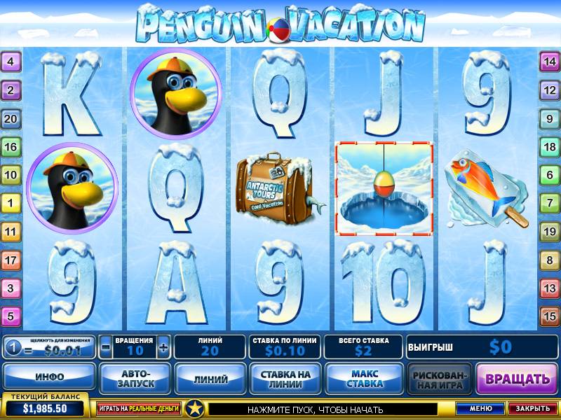 Penguin Vacation
