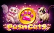 Posh Cats (демо-версия)