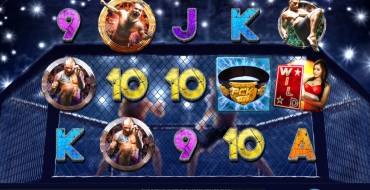 Primetime Combat Kings: Тематика