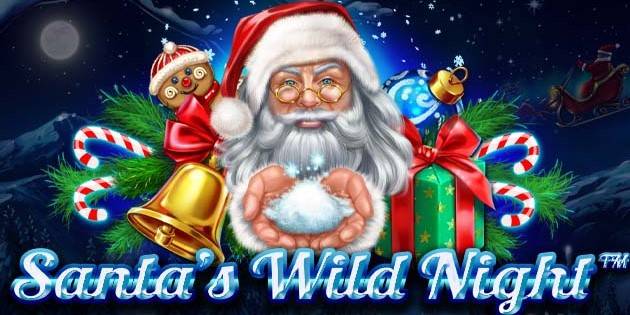Santa's Wild Night