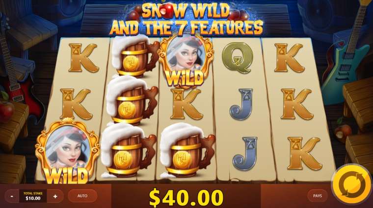 Видео покер Snow Wild and the 7 Features демо-игра