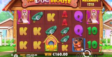 The Dog House Megaways: Выигрыши
