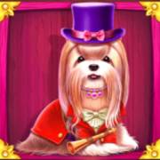 The Dog House – Royal Hunt: Ши-тцу