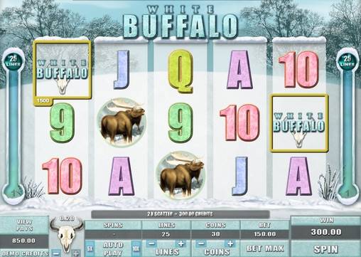 White Buffalo