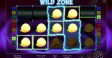 Wild Zone: Выигрыши