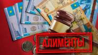Долги организатора нелегального игорного бизнеса по алиментам своим детям достигли миллионов тенге